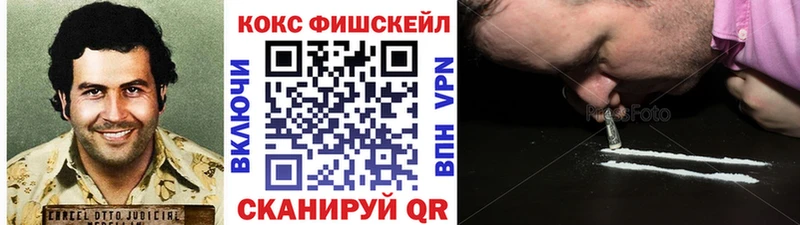 COCAIN Fish Scale Нижнеудинск