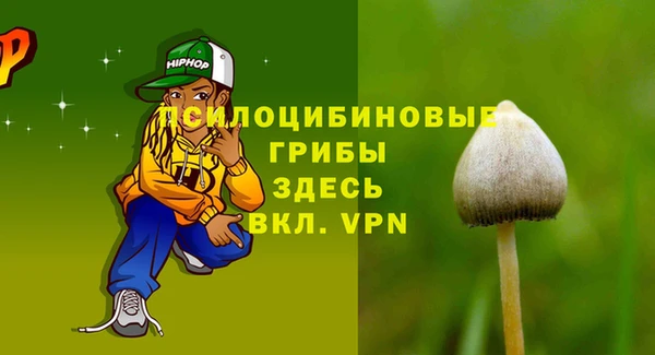 винт Алексин