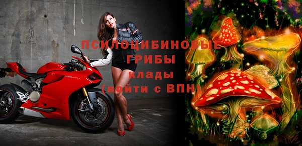 винт Алексин