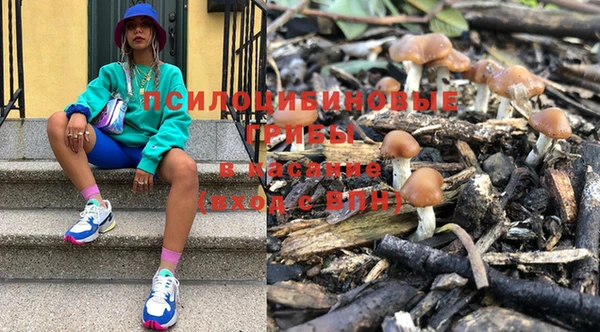 прущая мука Алзамай