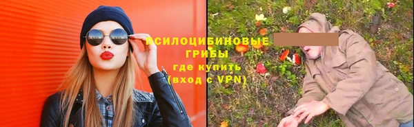 прущая мука Алзамай
