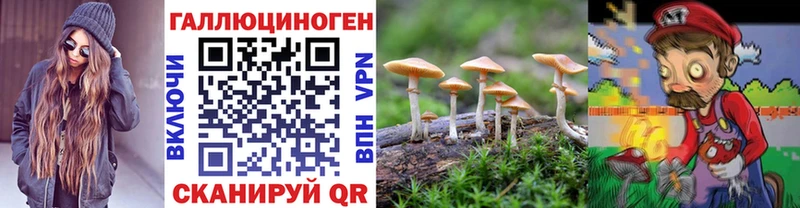 Галлюциногенные грибы прущие грибы  Нижнеудинск 