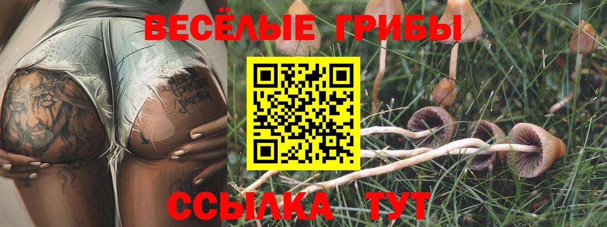 Псилоцибиновые грибы мицелий Нижнеудинск
