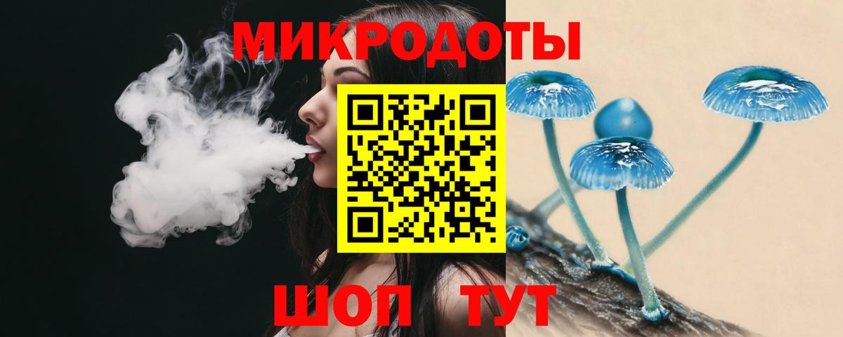 Нижнеудинск  Псилоцибиновые грибы ЛСД  Вход с VPN  Псилоцибиновые грибы Psilocybe 
